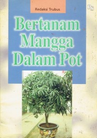 Bertanam Mangga Dalam Pot