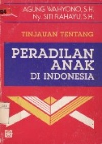 Tinjauan Tentang Peradilan Anak Di Indonesia.