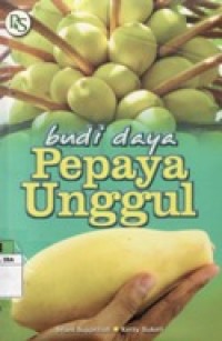 Budi Daya PePaya Unggul