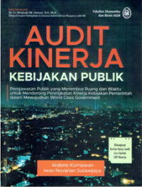 Audit Kinerja Kebijakan Publik