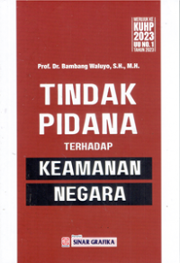 Tindak Pidana Terhadap Keamanan Negara