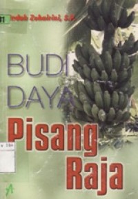 Budidaya pisang raja