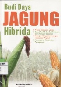 Budidaya jagung hibrida